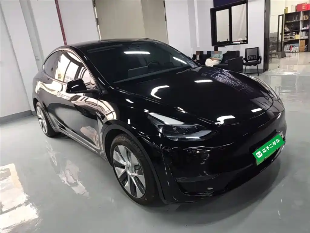 Model Y 2021 standard range rear-wheel drive version купить на сайте DeffCars