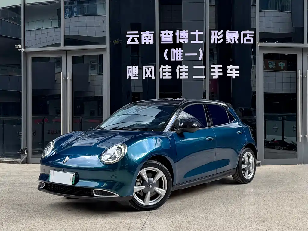 Euler Good Cat 2022 model 400km standard battery life premium type ternary lithium купить на сайте DeffCars