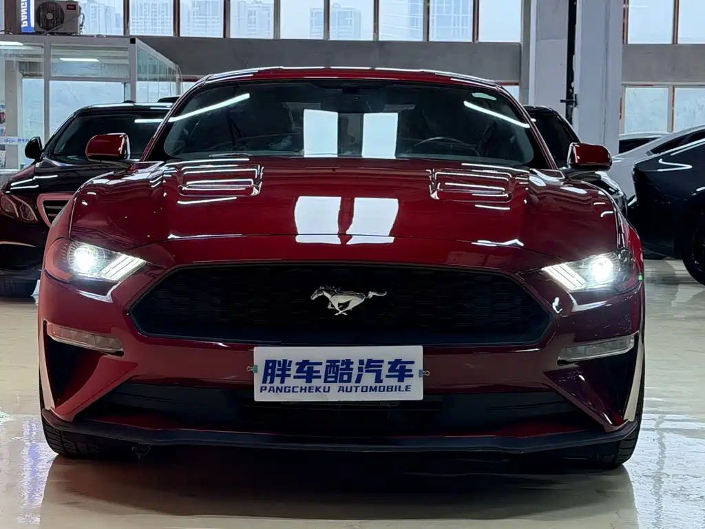 Mustang 2019 2.3L EcoBoost Dark Knight Sports Edition купить на сайте DeffCars