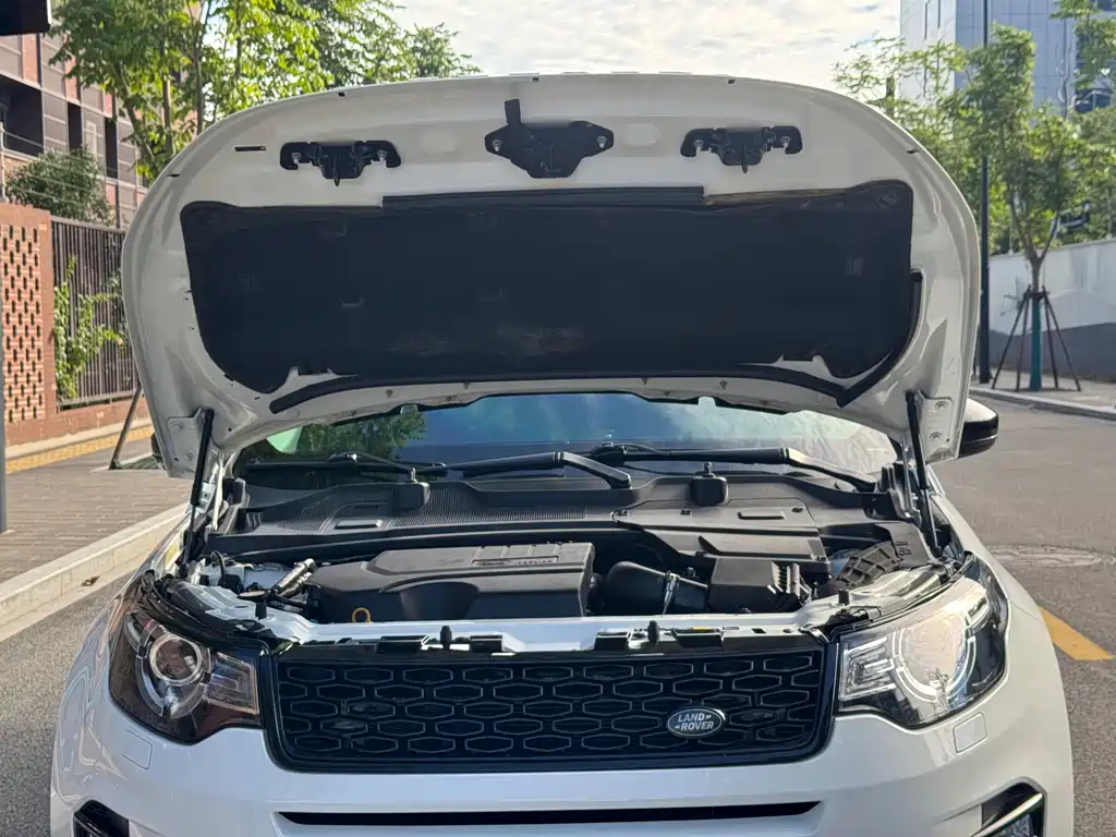 Discovery Shenxing 2019 240PS SE version National V купить на сайте DeffCars