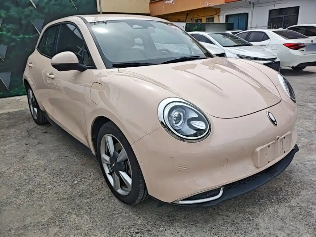 Euler Good Cat 2021 Model 400km Standard Range Athena Edition Lithium Iron Phosphate купить на сайте DeffCars
