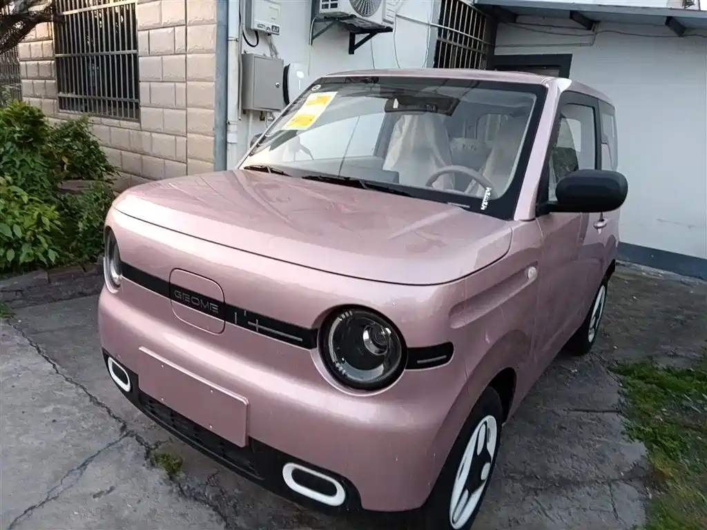 Panda 2025 Panda mini 210km Yuanqi Bear купить на сайте DeffCars