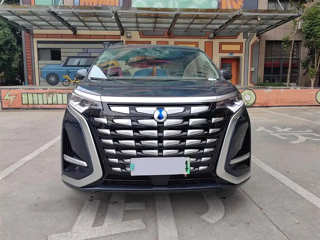 Denza D9 2022 DM-i 1040 Premium Type купить на сайте DeffCars