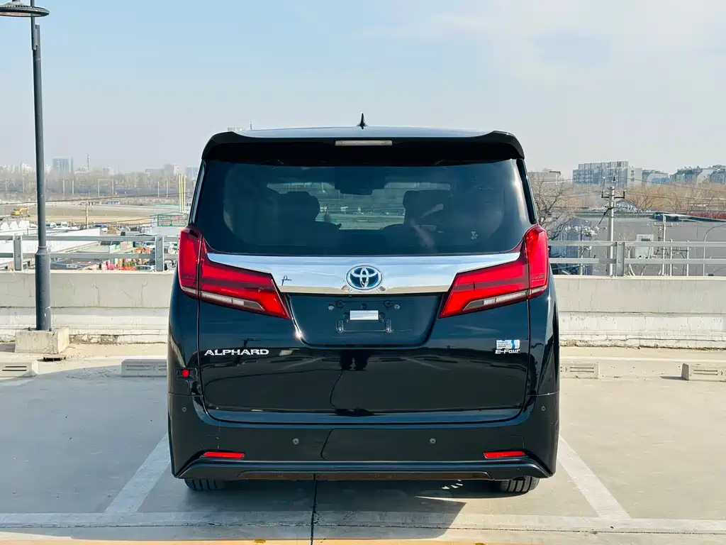 Alfa 2021 Dual Engine 2.5L Deluxe Edition купить на сайте DeffCars