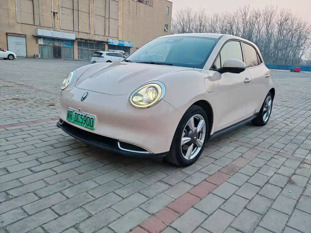 Euler Good Cat 2022 model 400km standard battery life premium type ternary lithium купить на сайте DeffCars