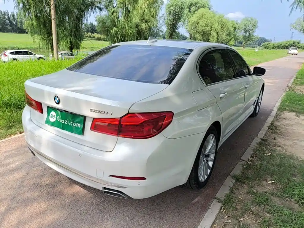 BMW 5 Series 2019 530Li Leading Luxury Package купить на сайте DeffCars