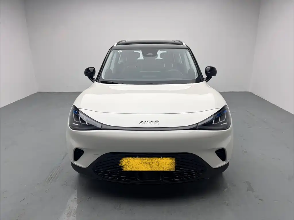 smart Elf #1 2023 Pro version купить на сайте DeffCars