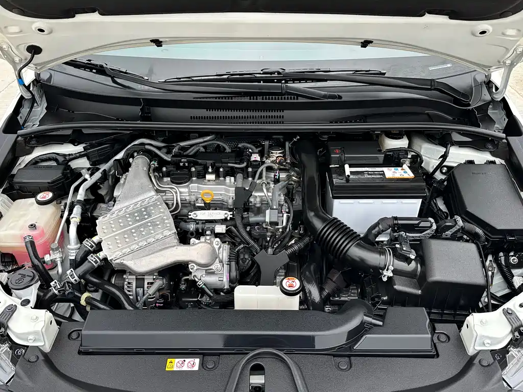 Ralink 2019 185T CVT Sports Edition National V купить на сайте DeffCars