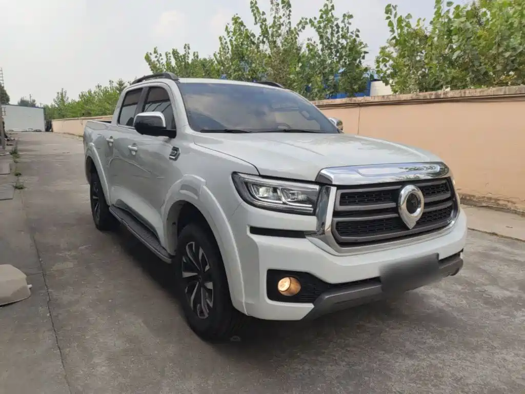 Cannon 2023 2.0T passenger version automatic gasoline four-wheel drive sports model GW4C20B купить на сайте DeffCars