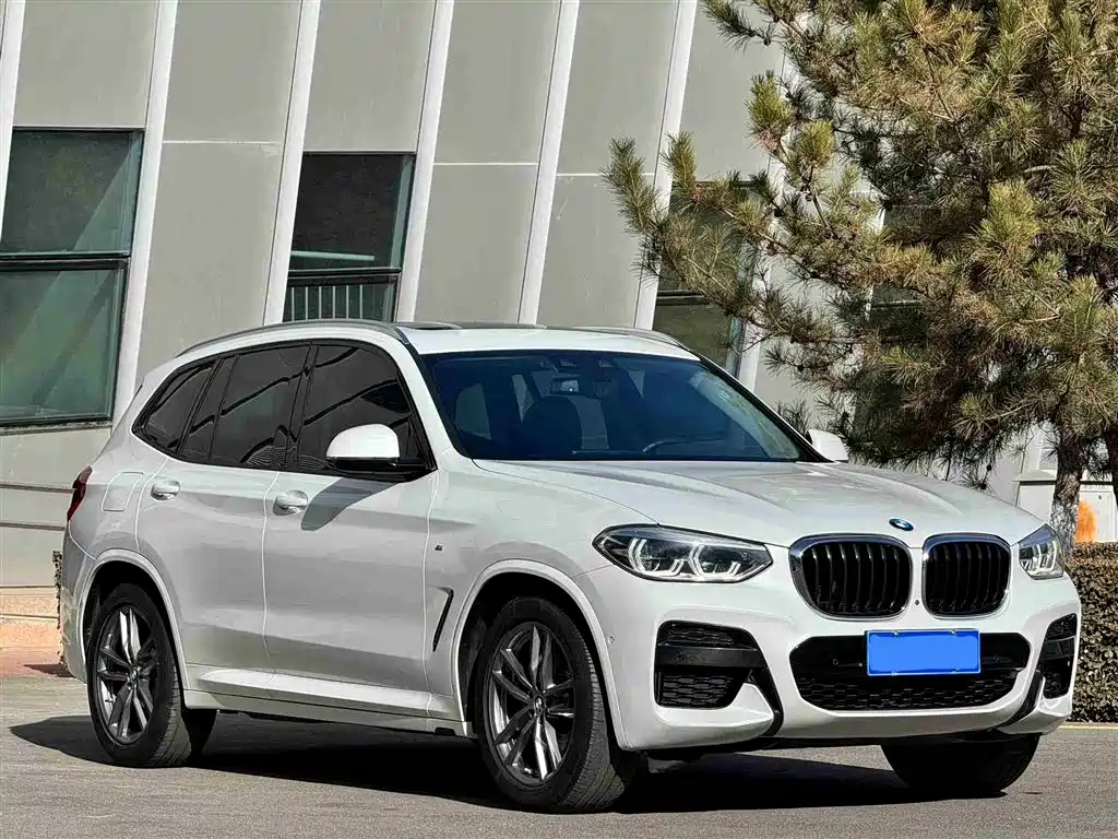 BMW X3 2019 xDrive30i leading M sports package купить на сайте DeffCars