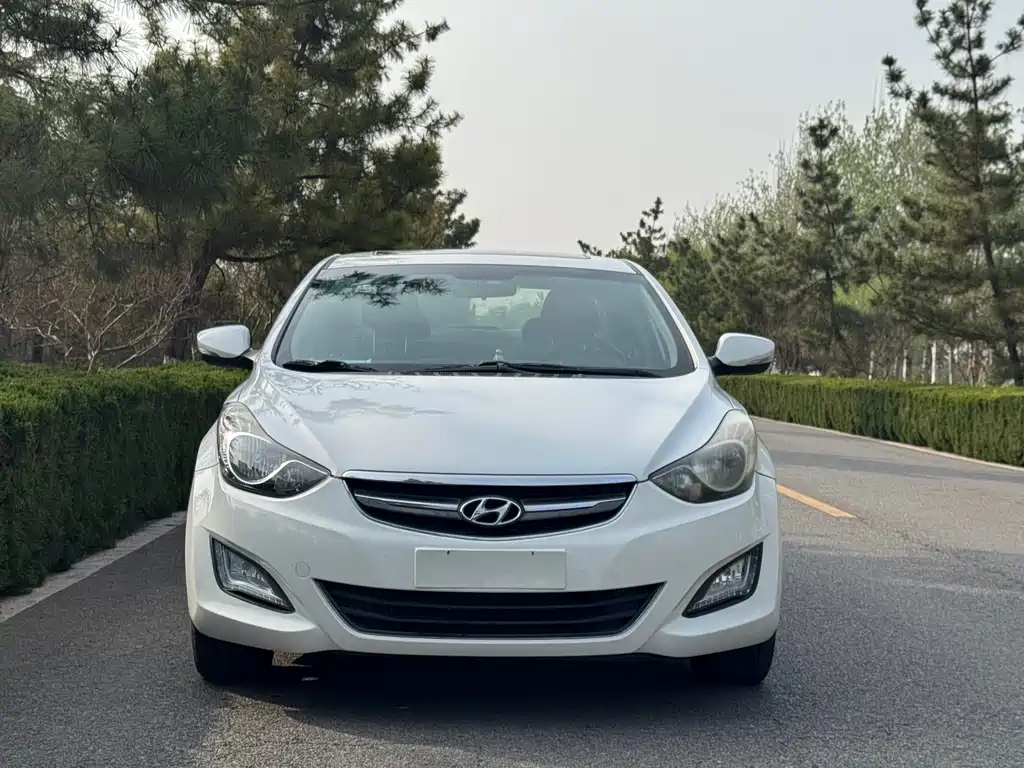 Langdong 2015 1.6L manual leading model купить на сайте DeffCars