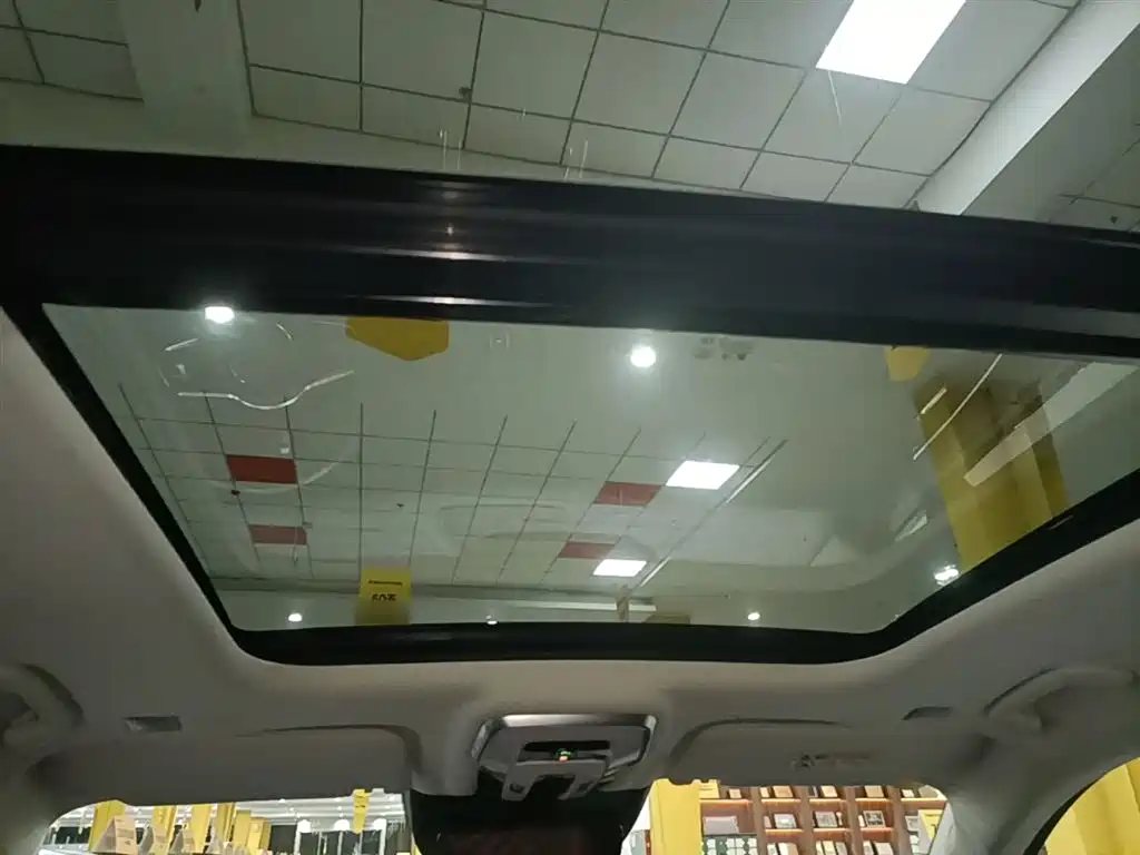 Hongqi E-HS9 2022 model 690km flagship version six seats купить на сайте DeffCars