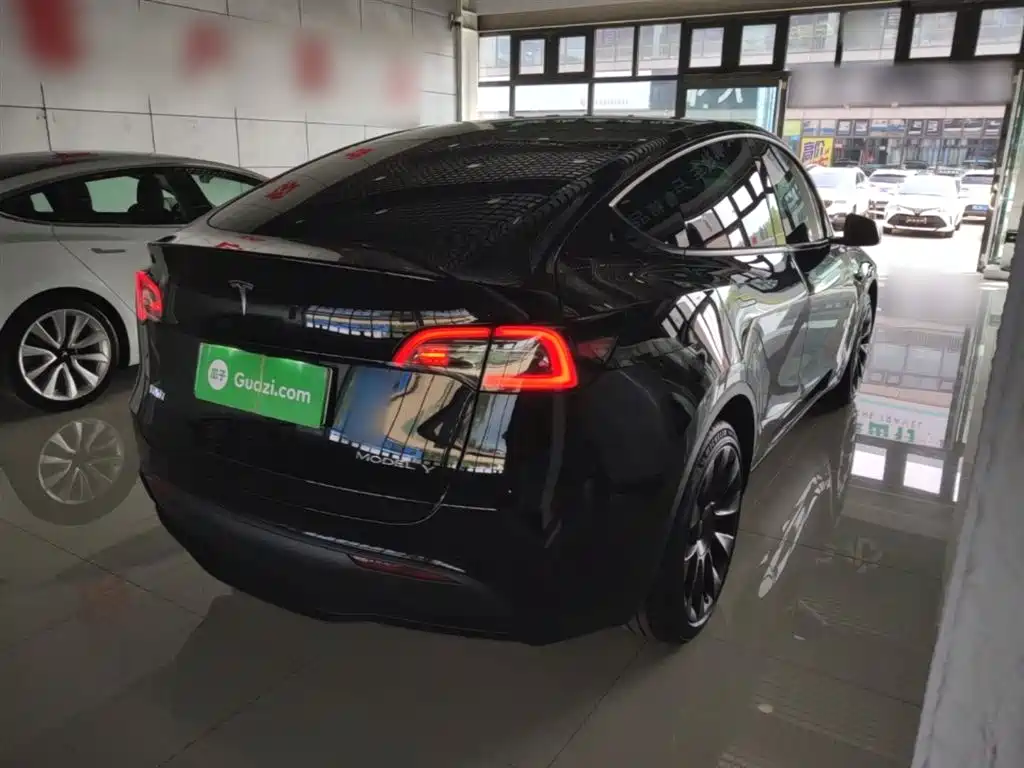 Model Y 2023 long-range all-wheel drive version купить на сайте DeffCars