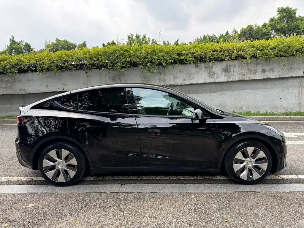 Model Y 2021 long-range all-wheel drive version купить на сайте DeffCars
