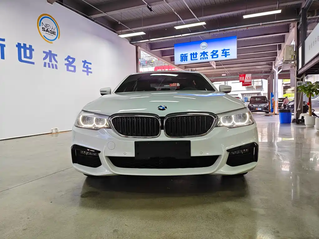 BMW 5 Series 2019 530Li Leading M Sports Package купить на сайте DeffCars
