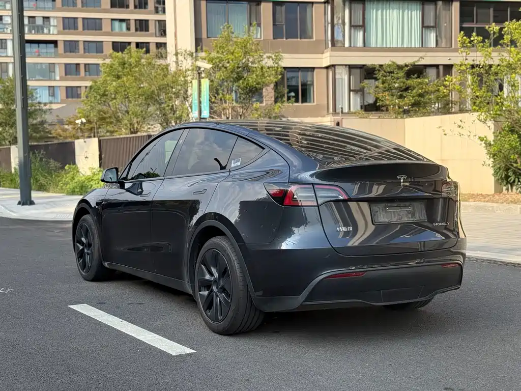 Model Y 2024 rear-wheel drive version купить на сайте DeffCars