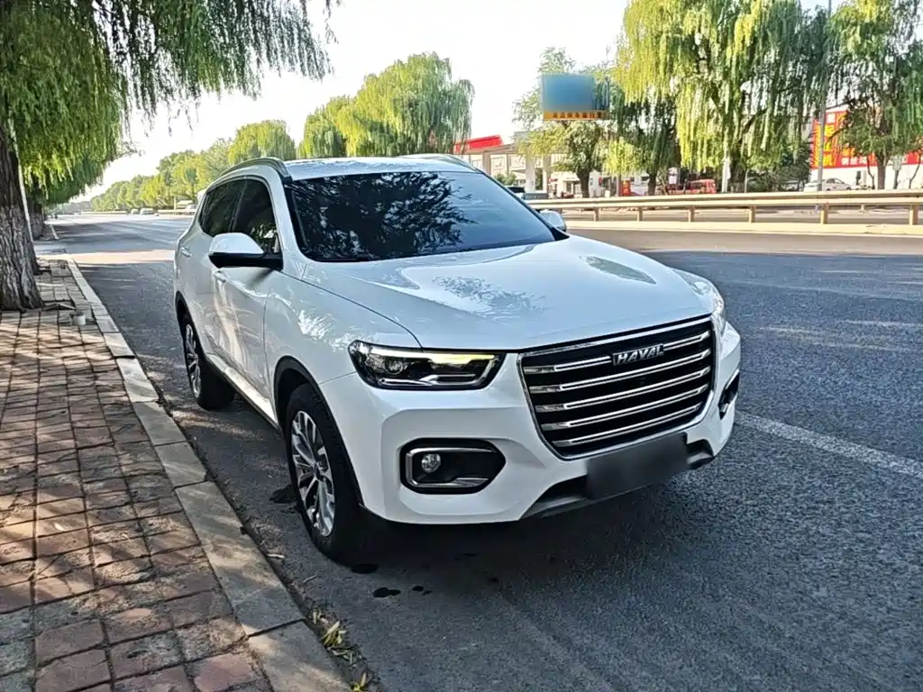 Haval H6 2020 2.0GDIT Automatic Platinum Champion Edition купить на сайте DeffCars