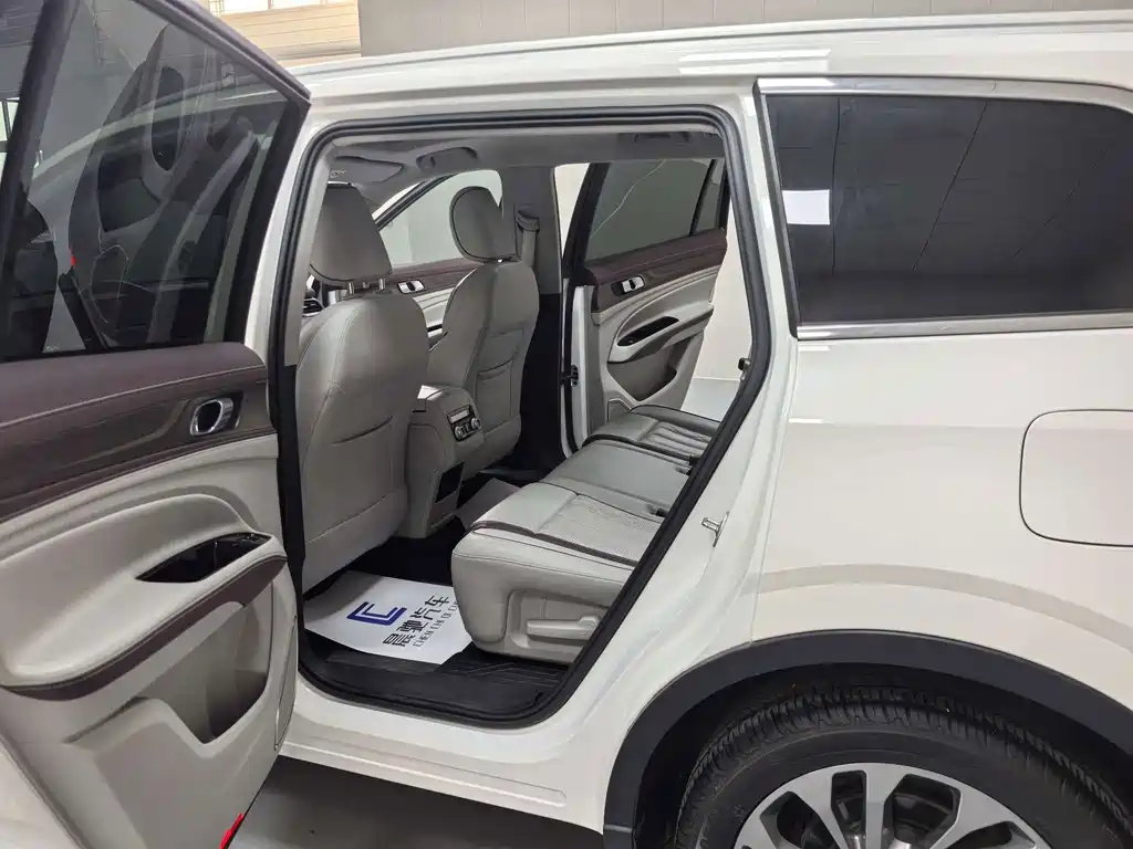 Lingyu 2021 EcoBoost 225 collar type 7 seats купить на сайте DeffCars