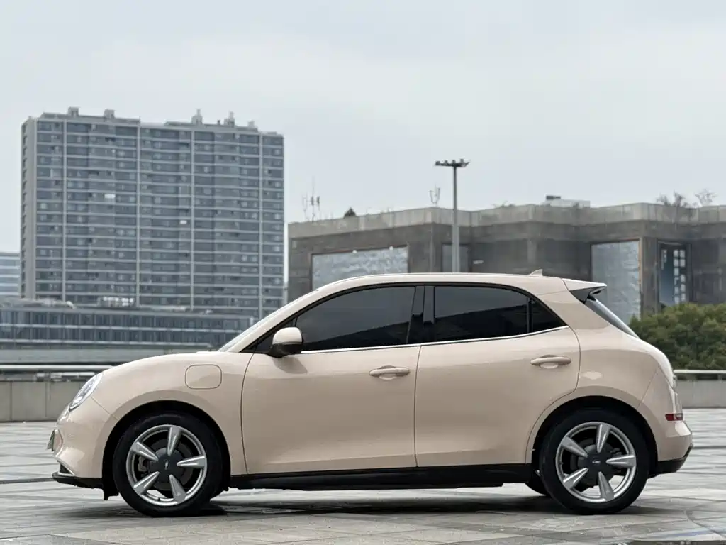 Euler Good Cat 2021 Model 400km Standard Range Venus Edition Lithium Iron Phosphate купить на сайте DeffCars