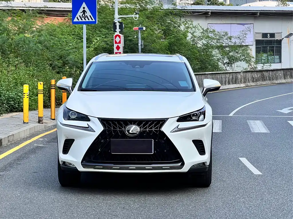 Lexus NX 2020 200 AWD Fengshang Edition National VI купить на сайте DeffCars