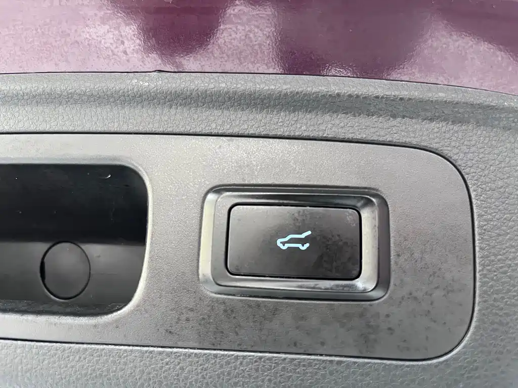 Lingyu 2021 EcoBoost 225 Collar Type 6 Seats купить на сайте DeffCars