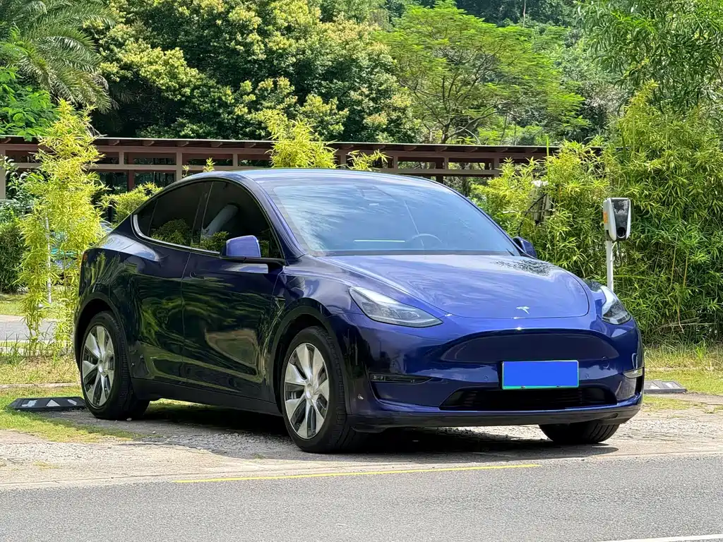 Model Y 2021 long-range all-wheel drive version 3D7 купить на сайте DeffCars