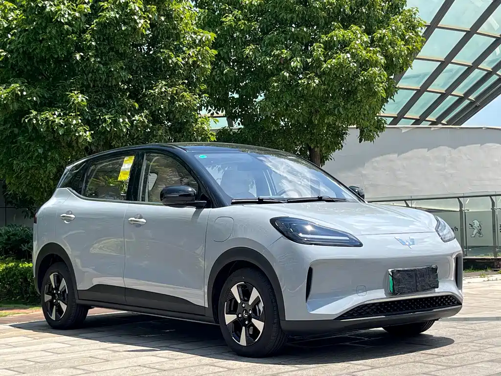 Binguo plus (Bingo) 2024 510km Five Seater Edition купить на сайте DeffCars