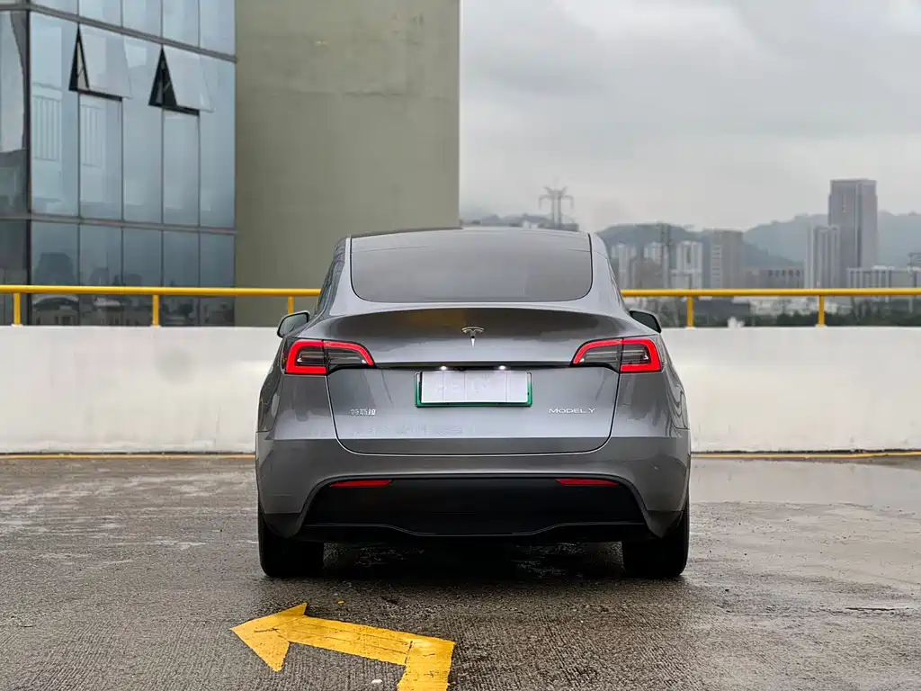 Model Y 2024 rear-wheel drive version купить на сайте DeffCars