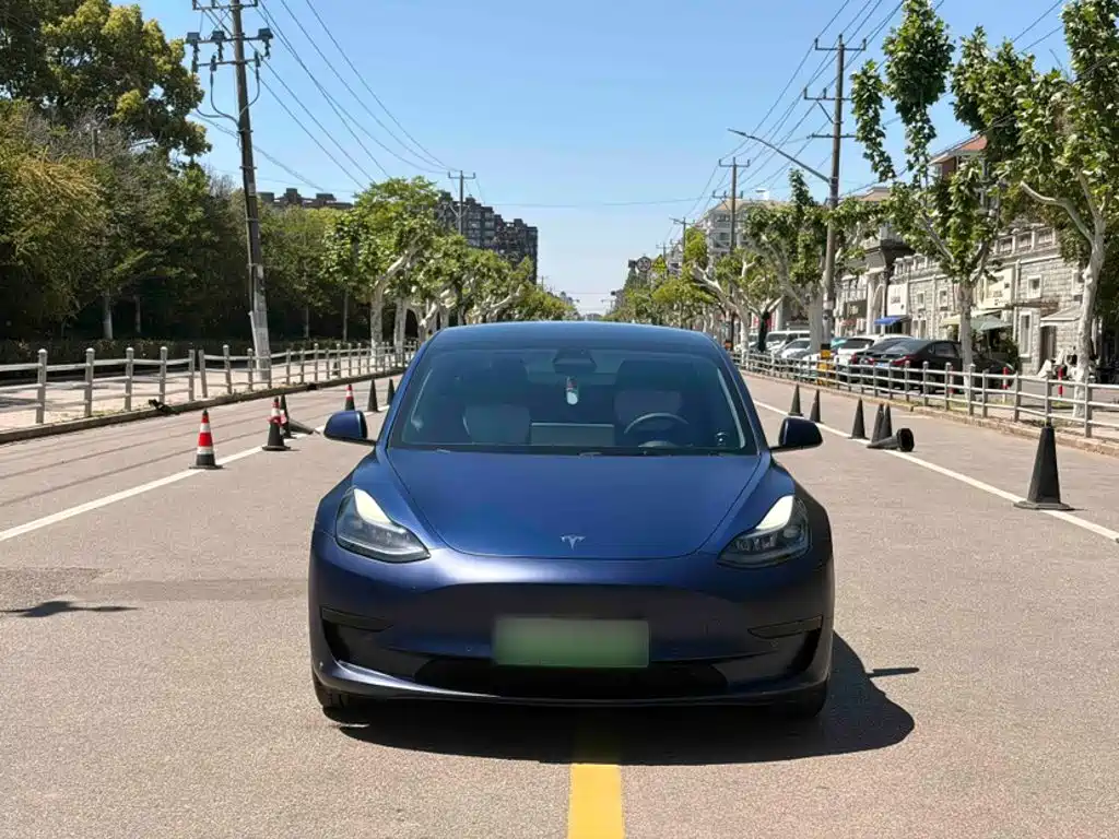 Model 3 2022 rear-wheel drive version купить на сайте DeffCars