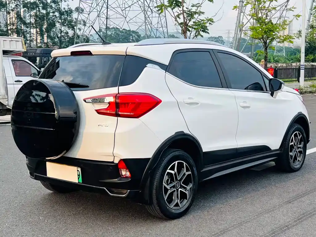 Yuan Pro 2021 Love Lifetime Edition купить на сайте DeffCars