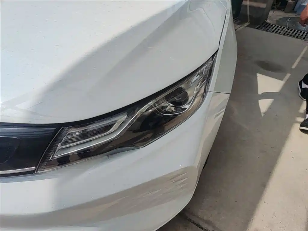 Emgrand New Energy 2021 EV Pro online reservation version купить на сайте DeffCars