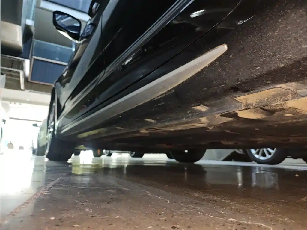Xingrui 2021 facelift 2.0TD premium model купить на сайте DeffCars