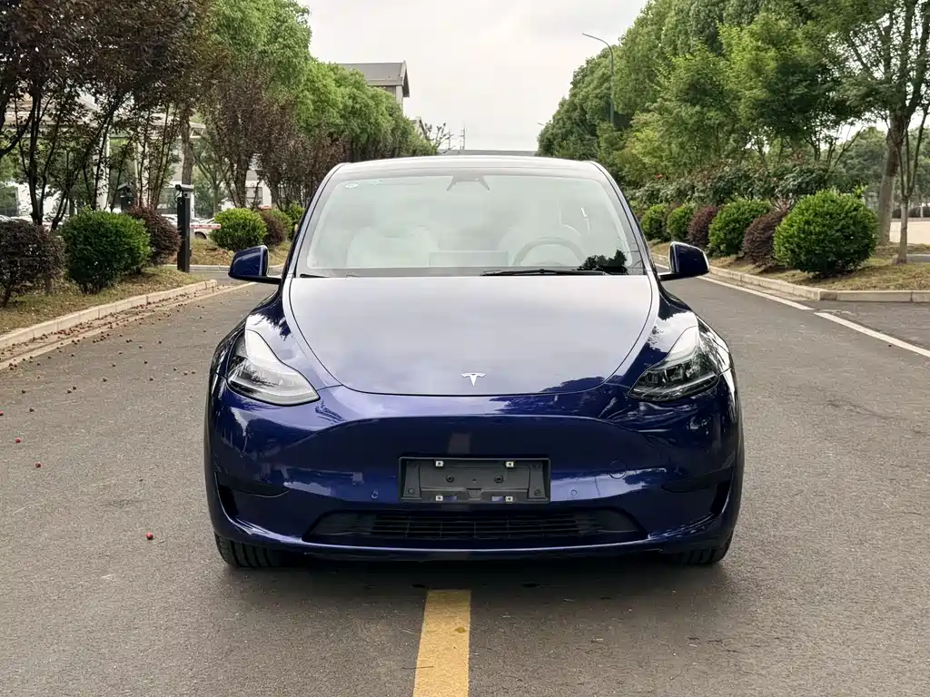 Model Y 2022 rear-wheel drive купить на сайте DeffCars