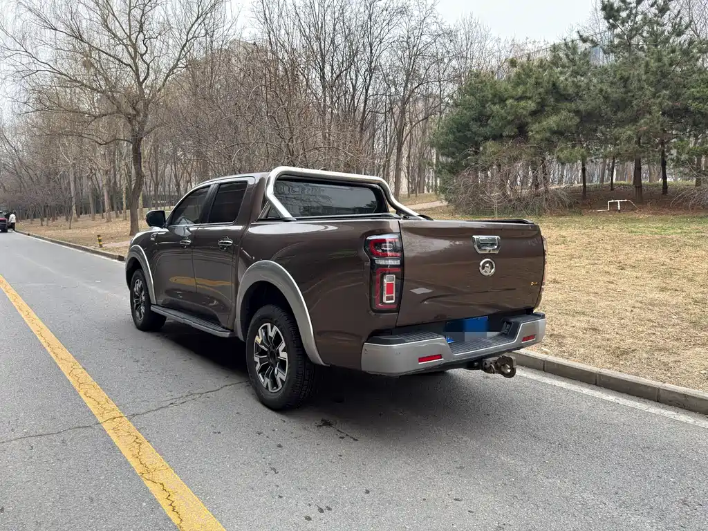 Cannon 2019 2.0T automatic gasoline four-wheel drive exclusive version GW4C20B купить на сайте DeffCars