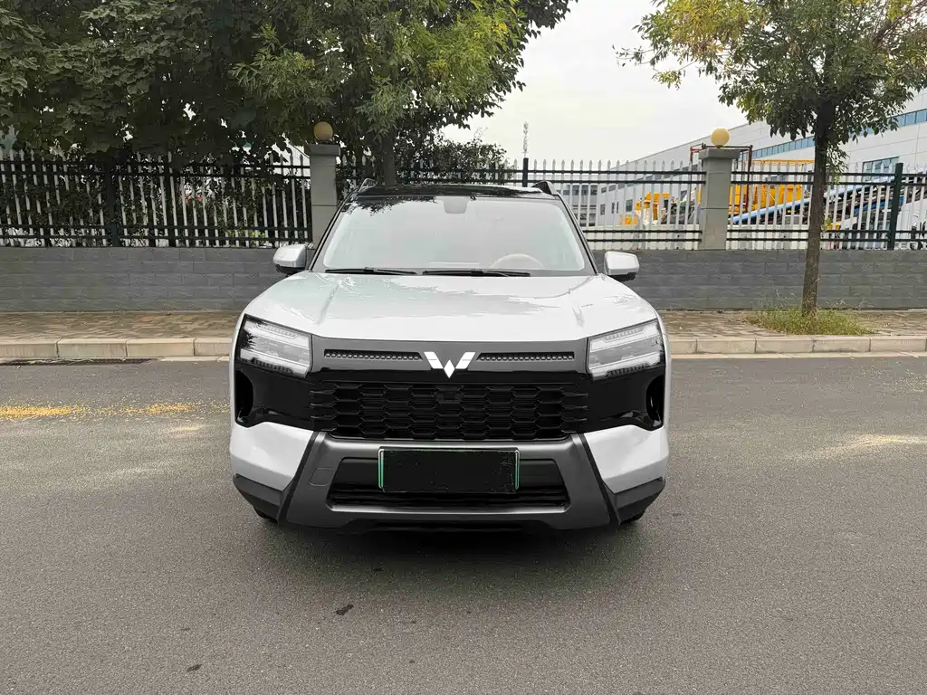 Starlight 560 New Energy 2026 plug-in hybrid 125km luxury model купить на сайте DeffCars