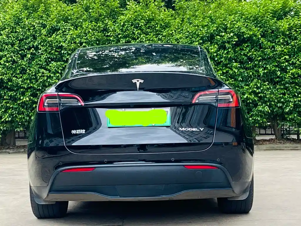 Model Y 2022 rear-wheel drive version купить на сайте DeffCars