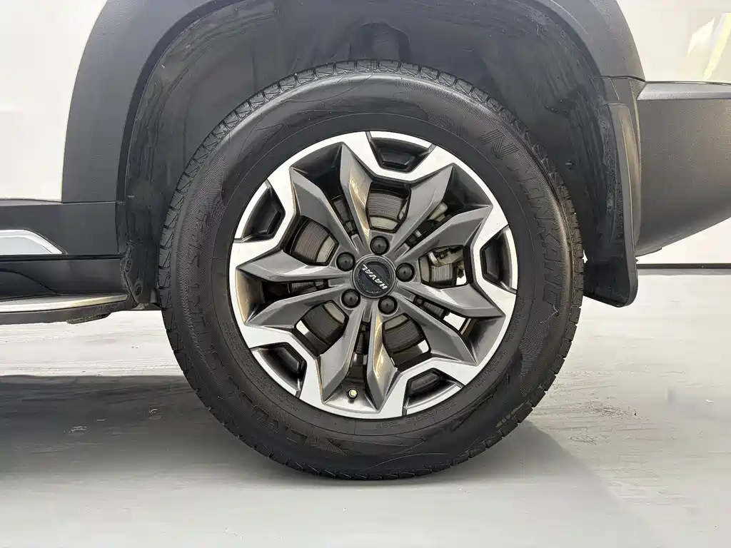 Haval Big Dog 2021 2.0T DCT four-wheel drive Chinese pastoral dog version купить на сайте DeffCars