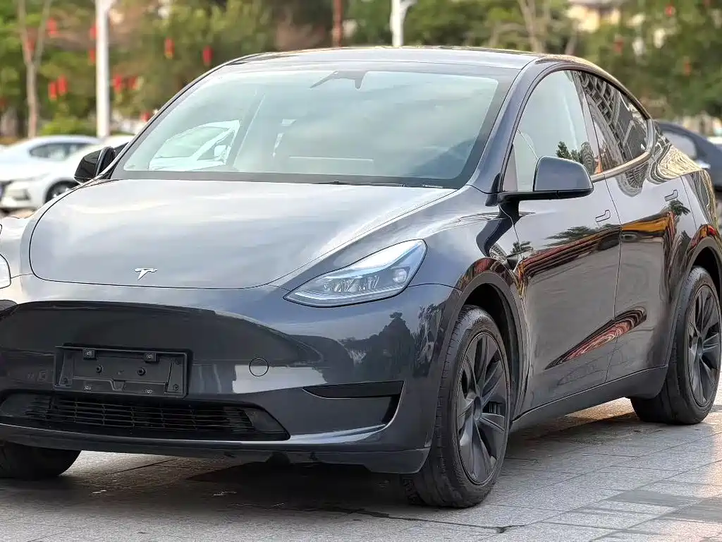 Model Y 2024 rear-wheel drive version купить на сайте DeffCars