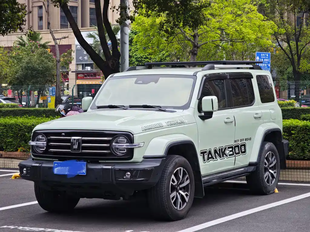 Tank 300 2021 city 2.0T is stylish купить на сайте DeffCars