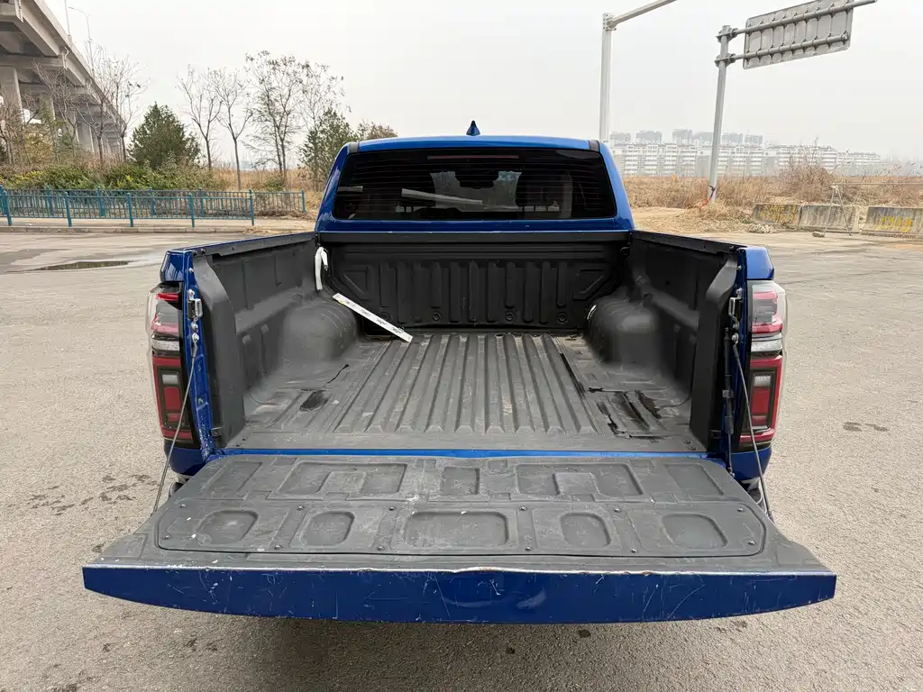 Cannon 2021 2.0T Passenger Global Version Automatic Diesel Two-wheel Drive Comfort Standard Box GW4D20M купить на сайте DeffCars