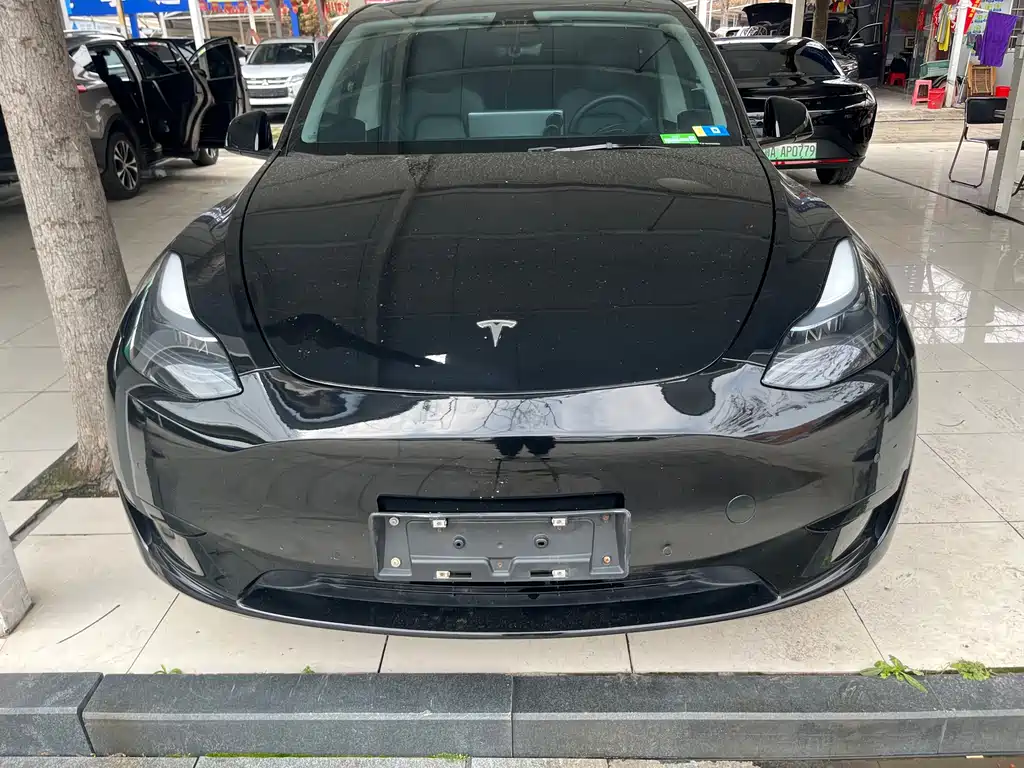 Model Y 2021 long-range all-wheel drive version купить на сайте DeffCars
