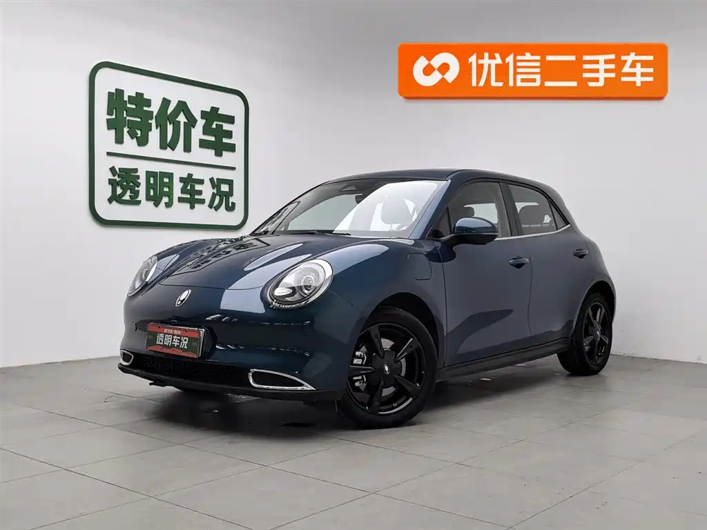 Euler Good Cat 2024 Model 401km Luxury Model купить на сайте DeffCars