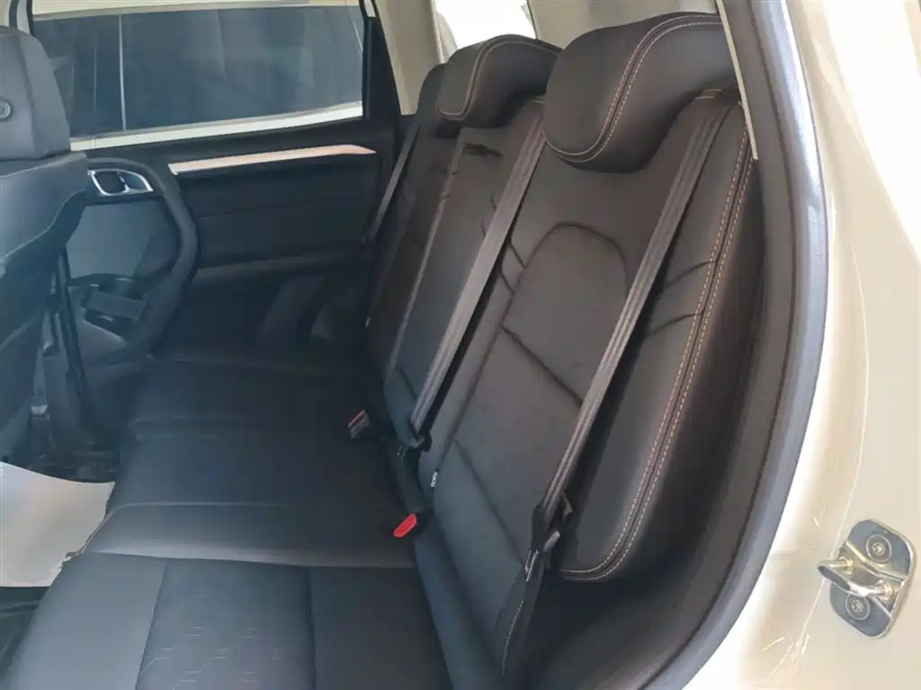 Haval Big Dog 2021 1.5T DCT two-wheel drive Border Collie version купить на сайте DeffCars