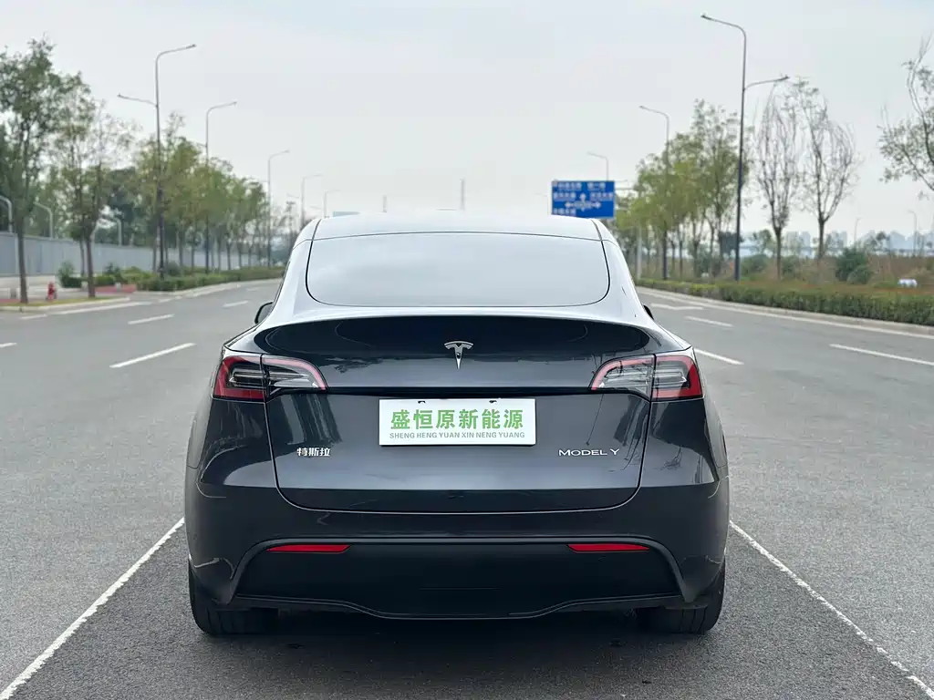 Model Y 2024 rear-wheel drive version купить на сайте DeffCars
