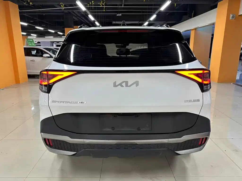 Lion Expands the Boundary 2023 2.0L HEV Two-wheel Drive Premium Edition купить на сайте DeffCars