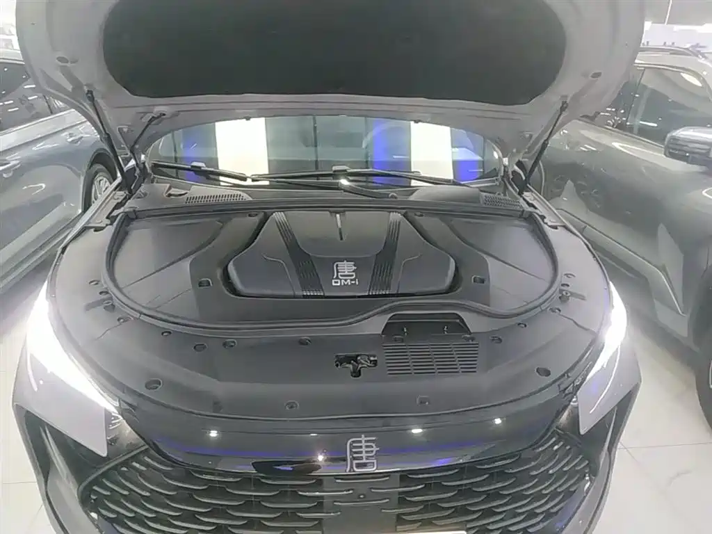Tangxin Energy 2025 DM-i 115KM Yunnan flagship model купить на сайте DeffCars