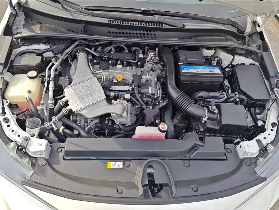 Ralink 2019 185T CVT Sports Edition National V купить на сайте DeffCars