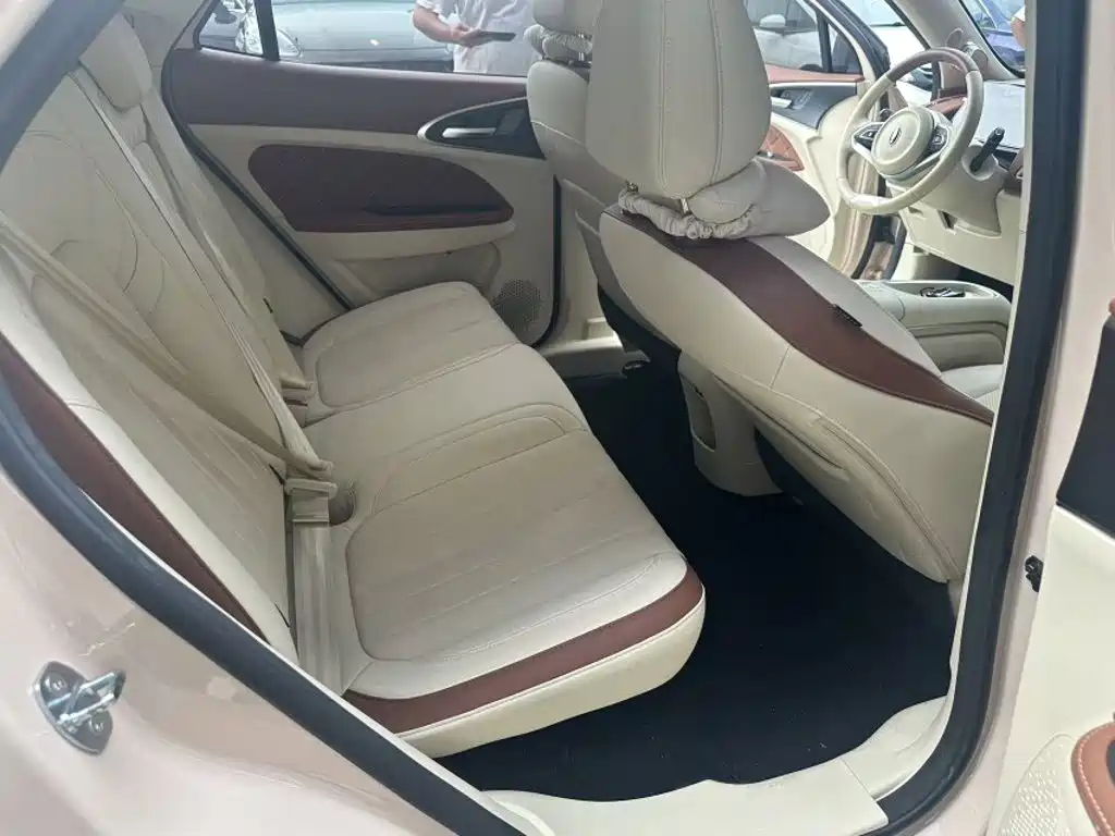 Euler Good Cat 2023 model 401km standard battery life premium type lithium iron phosphate купить на сайте DeffCars