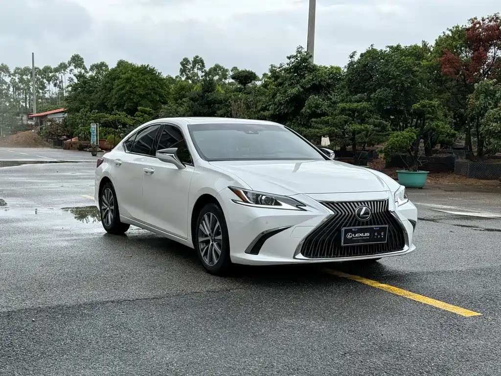 Lexus ES 2020 200 Excellence Edition купить на сайте DeffCars