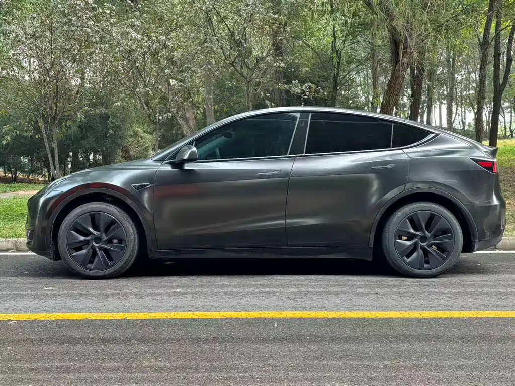 Model Y 2024 rear-wheel drive version купить на сайте DeffCars